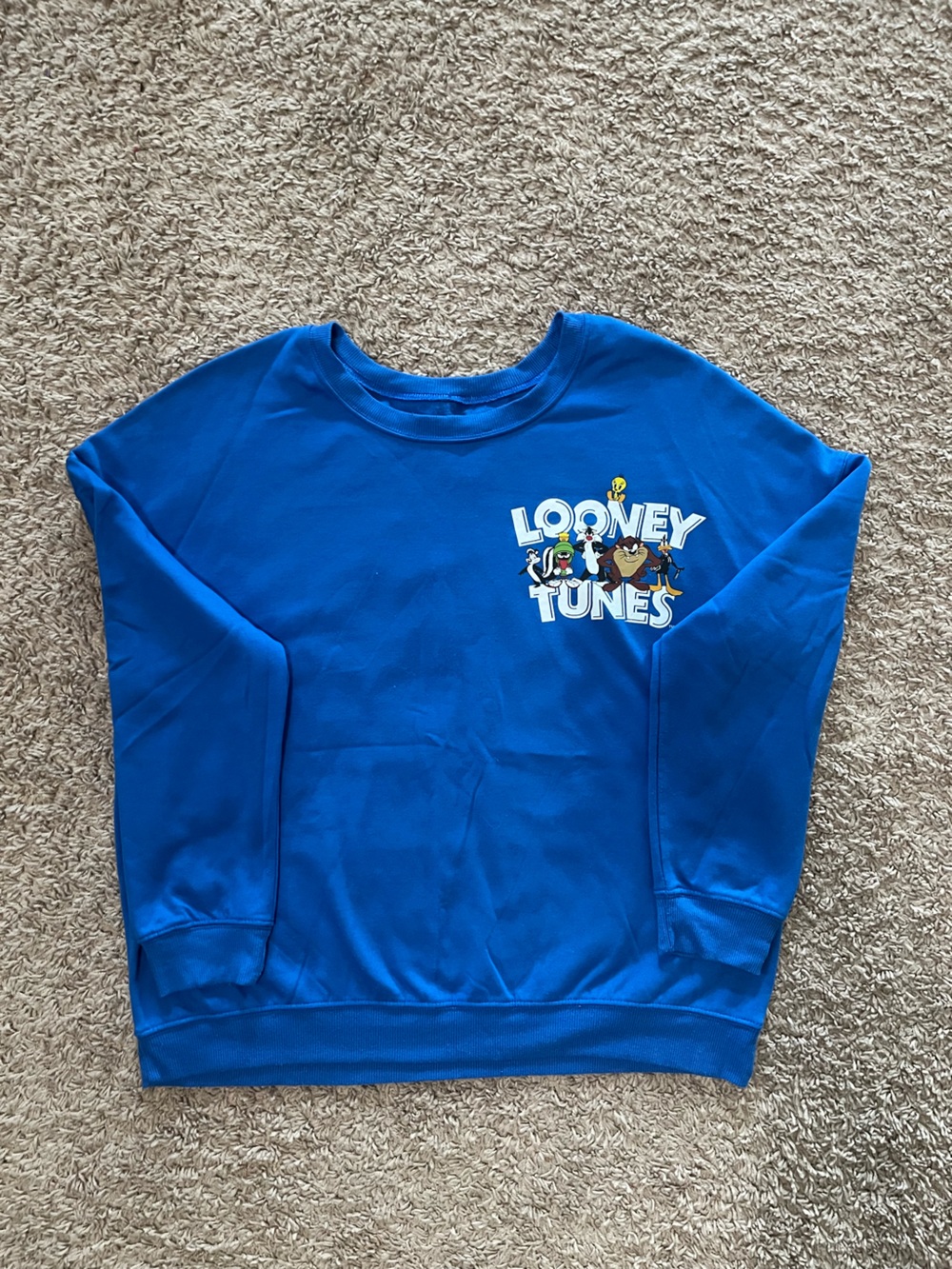 Looney Tunes Women’s Size L Pullover Blue Sweatshirt ‘That’s All Folks’